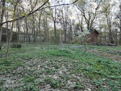 Участок в пос. Красное