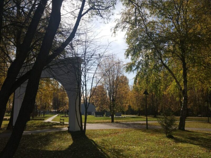 Участок Вороново 10,5 га
