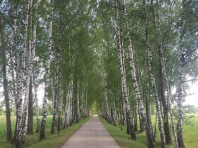 Участок Вороново 31,5 га
