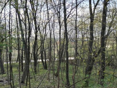Участок в пос. Красное