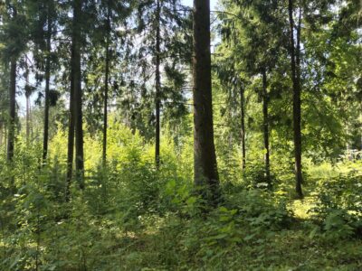 Участок в пос. Воскресенское КП Милорадово