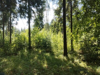 Участок в пос. Воскресенское КП Милорадово