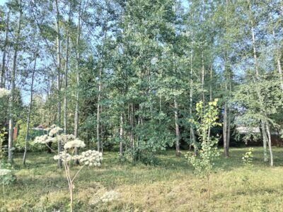 Участок в д. Лужки