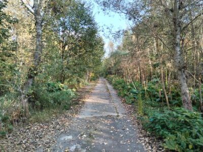 Участок в пос. Воскресенское