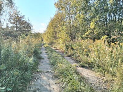 Участок в пос. Воскресенское